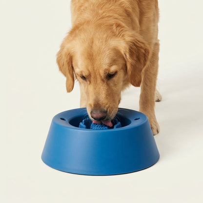 SavorMaze Bowl